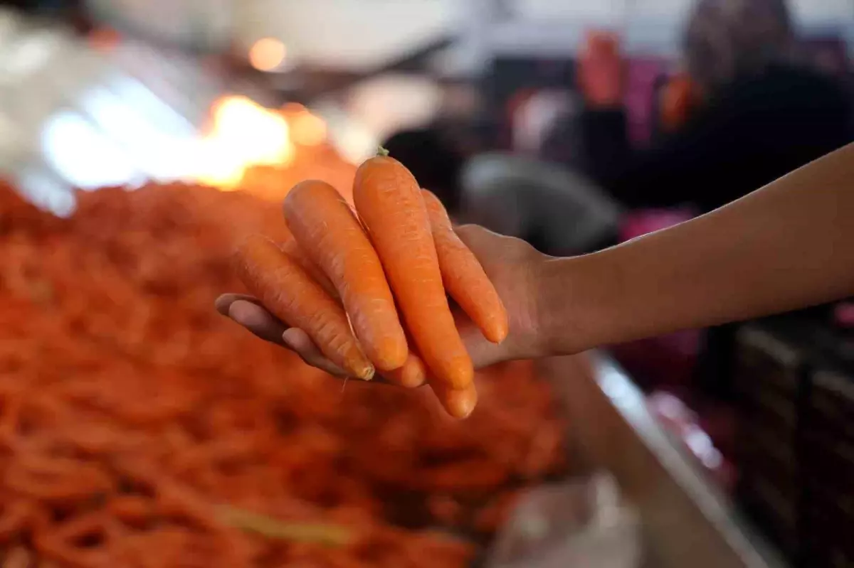 Konya'da Havuç Üretiminde Teknolojiyle Artış Yaşanıyor