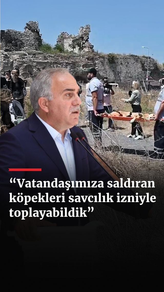 https://foto.haberler.com/haber/2024/08/21/vatandasimiza-saldiran-kopekleri-savcilik-izniyle-toplayabildik_1568_o.jpg