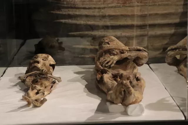 Chilling details about the 2 child mummies exhibited in Kayseri that will make your hair stand on end