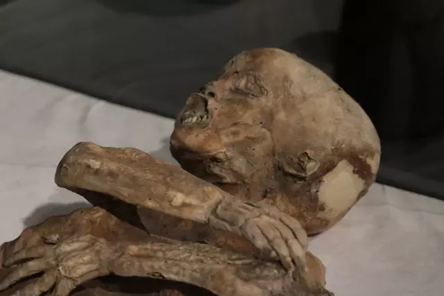 Chilling details about the 2 child mummies exhibited in Kayseri that will make your hair stand on end