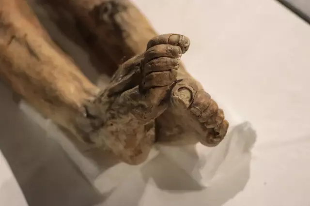 Chilling details about the 2 child mummies exhibited in Kayseri that will make your hair stand on end