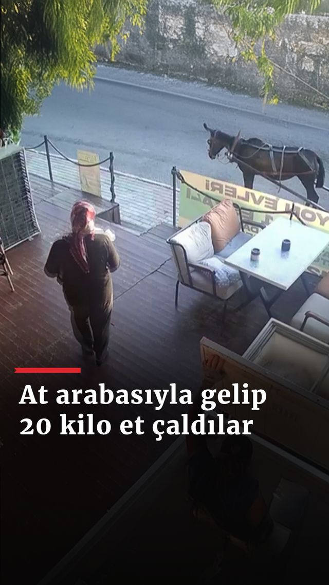 https://foto.haberler.com/haber/2024/08/22/at-arabasiyla-gelip-20-kilo-et-caldilar_6836_o.jpg