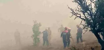 Bolu Gerede'deki yangın kontrol altına alındıktan sonra tekrar alevlendi