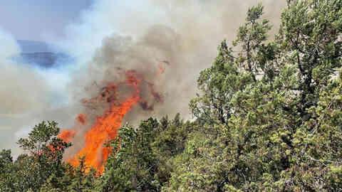 Bolu yangın son dakika! 22 Ağustos Bolu yangını söndürüldü mü? Bolu yangını son durum!
