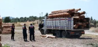 Çanakkale'de Tomruk Kazası: Kamyon Sürücüsü Hayatını Kaybetti