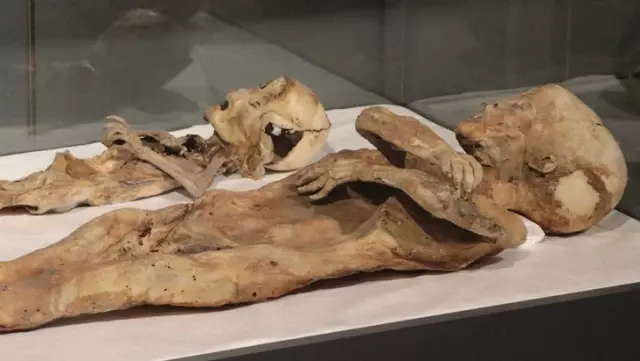 Chilling details about the 2 child mummies exhibited in Kayseri.