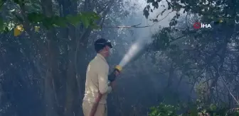 Edirne'de yürekleri ağza getiren yangın