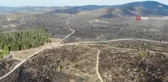 Gerede'deki yangından etkilenen alan havadan görüntülendi