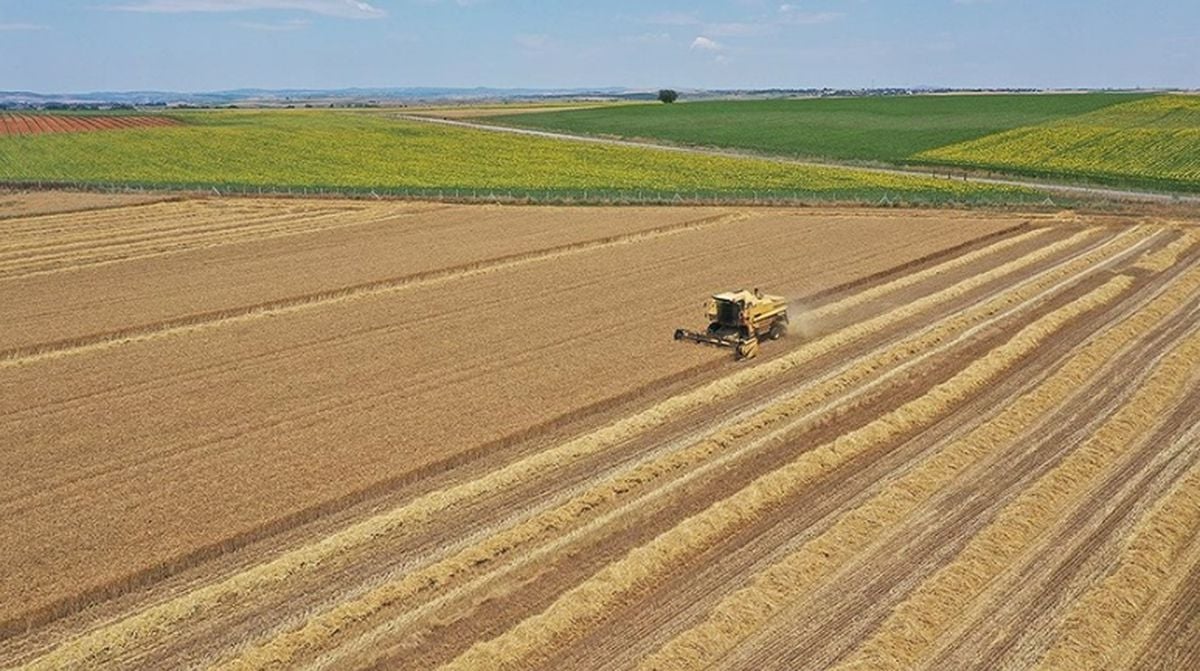 Hangi tarım arazileri kiraya verilecek? Tarım arazisi kiralama sezonu hangi tarih, başvurular ne zaman başlıyor?