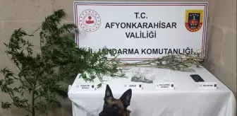 Afyonkarahisar'da Uyuşturucu Operasyonu