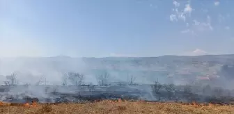 Tosya'da anız yangını kontrol altına alındı