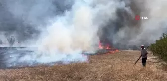 Kastamonu'da korkutan arazi yangını