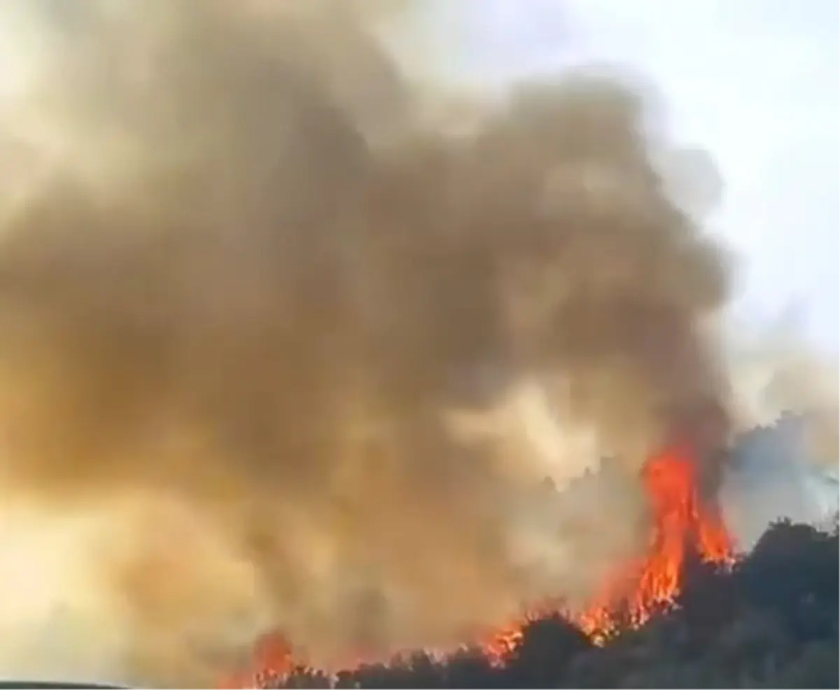 Gebze-Orhangazi-İzmir Otoyolu'nda Yangın Çıktı