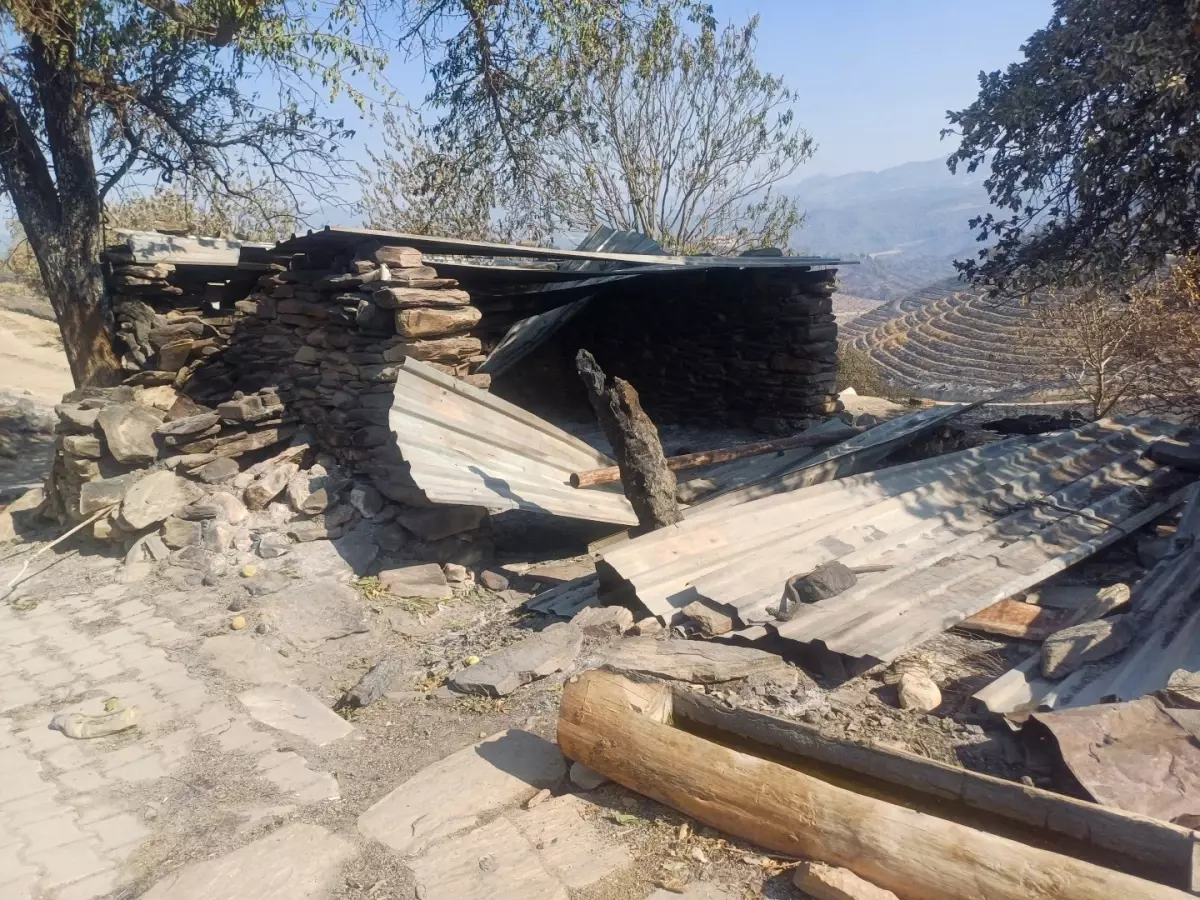 Orman Yangınında Evi Yanan Çiftçi: Sadece Bir Kedimiz Kurtuldu