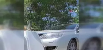 Otomobilin motoruna sıkışan kedi için seferber oldular