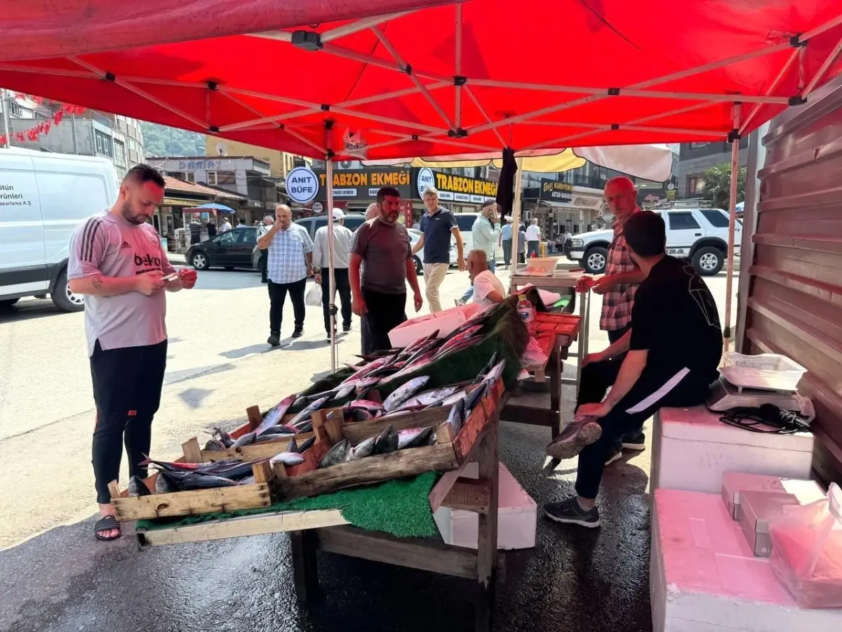 Zonguldak'ta Palamudun Fiyatı Uygun Olunca Yoğun İlgi