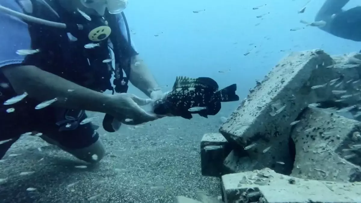 Prof. Dr. Mehmet Gökoğlu, Plastik Şişeye Sıkışmış Orfozu Kurtardı