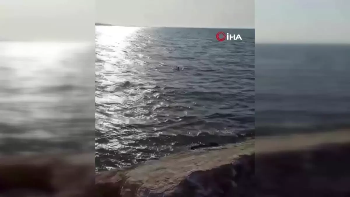 Yalova'da boğulma tehlikesi geçiren genç böyle kurtarıldı