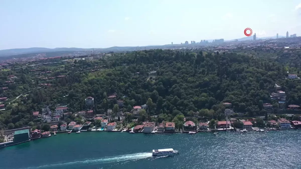 Çevre Bakanlığı, Vaniköy'deki ruhsatsız inşaatla ilgili suç duyurusunda bulundu