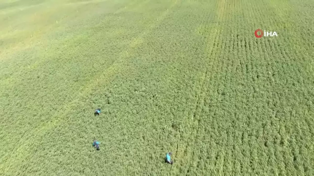 Diyarbakır'da Kur'an-ı Kerim dersi almaya giden Narin'den 3 gündür haber alınamıyor