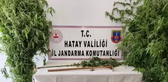 Hatay'da uyuşturucu ve kaçakçılık operasyonunda 18 kişi gözaltına alındı