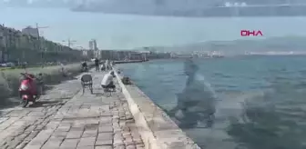 İzmir Körfezi'nde Ölen Balıkların Tüketilmemesi Uyarısı