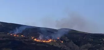 Malatya'da çıkan orman yangını 7 saatte kontrol altına alındı