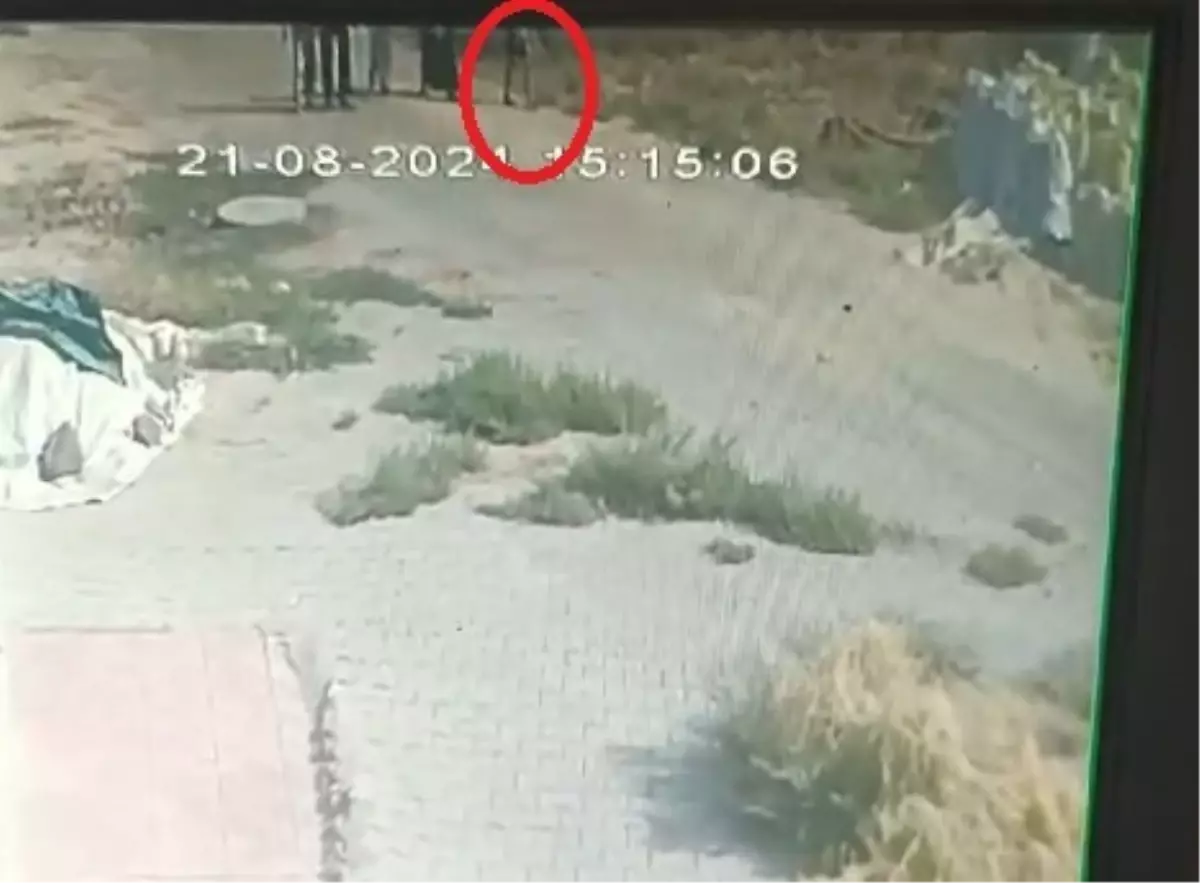 NARİN'İN KAYBOLDAN ÖNCE SON GÖRÜNTÜLERİ ORTAYA ÇIKTI