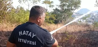 Hatay'ın Defne ilçesinde çıkan bahçe yangını söndürüldü