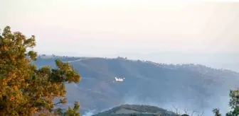 Uşak'ın Eşme ilçesinde çıkan yangınlara havadan ve karadan destek devam ediyor