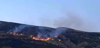 Malatya'da çıkan orman yangını kontrol altına alındı, kaplumbağa kurtarıldı