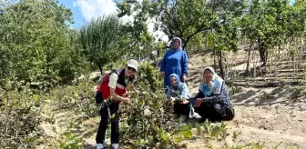 Kütahya İyi Tarımda İlerliyor Projesi Kapsamında Kadın Üreticilere Teknik Gezi Düzenlendi