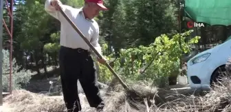 Torosların şifa dağıtan adamı