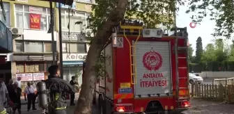 Dar sokak ve ağaç sınavıyla karşılaşan itfaiye ekipleri