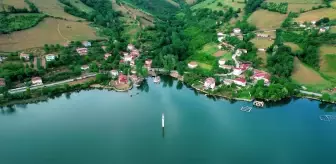 Samsun'da Batık Minare Doğa ve Fotoğraf Tutkunlarının İlgi Odağı