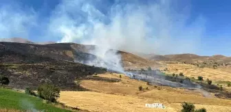 Bingöl'de 113 yangında 142 hektar alan zarar gördü