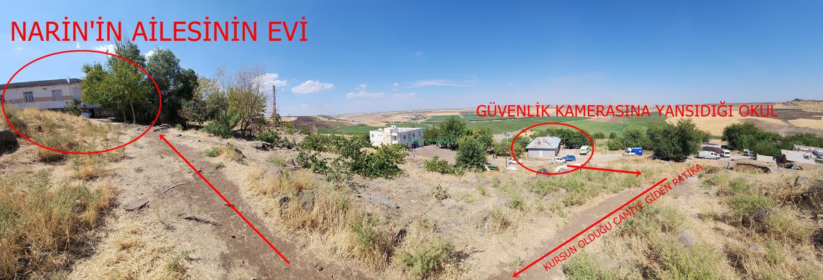 Narin Güran'ın kaybolmasıyla ilgili arama çalışmaları devam ediyor