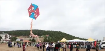 Tokat'ta Uçurtma Şenliği Düzenlendi