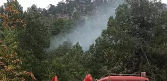 Kütahya'da Ormanlık Alanda Yıldırım Düşmesi Sonucu Yangın Söndürüldü