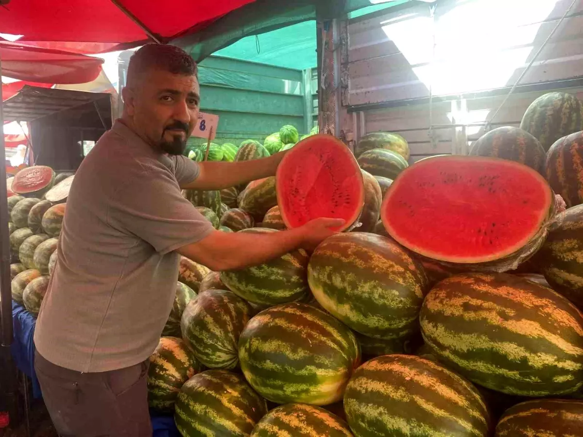 Karpuz Fiyatları Yüzde 100 Düştü, Talep Yoğun