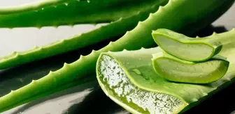 Aloe vera bitkisi evde nerede durmalı, nasıl bakılır? Aloe vera jelinin faydaları neler, nasıl kullanılır?