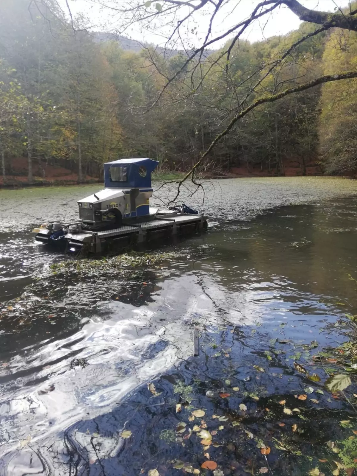 Yedigöller Milli Parkı'nda Göller Temizlendi