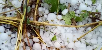 Denizli'de Dolu Yağışı Tarım Alanlarını Zarara Uğrattı