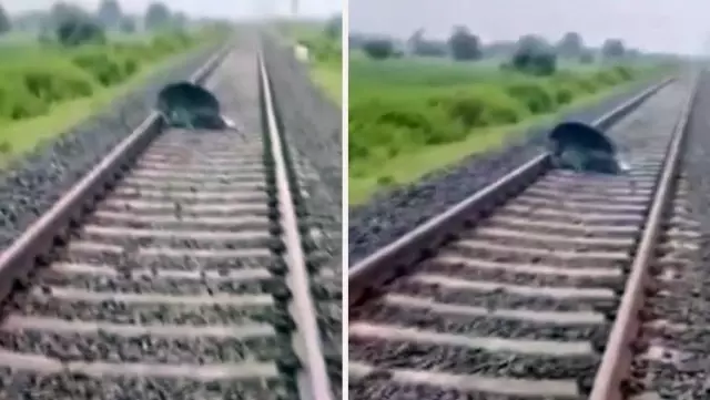 The man sleeping on the railway tracks in India narrowly escaped death.