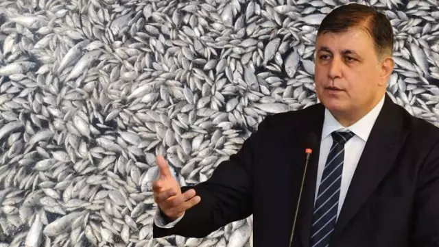 Mayor of Izmir Metropolitan Municipality, Cemil Tugay: The dead fish do not belong here, they were transported by ships.