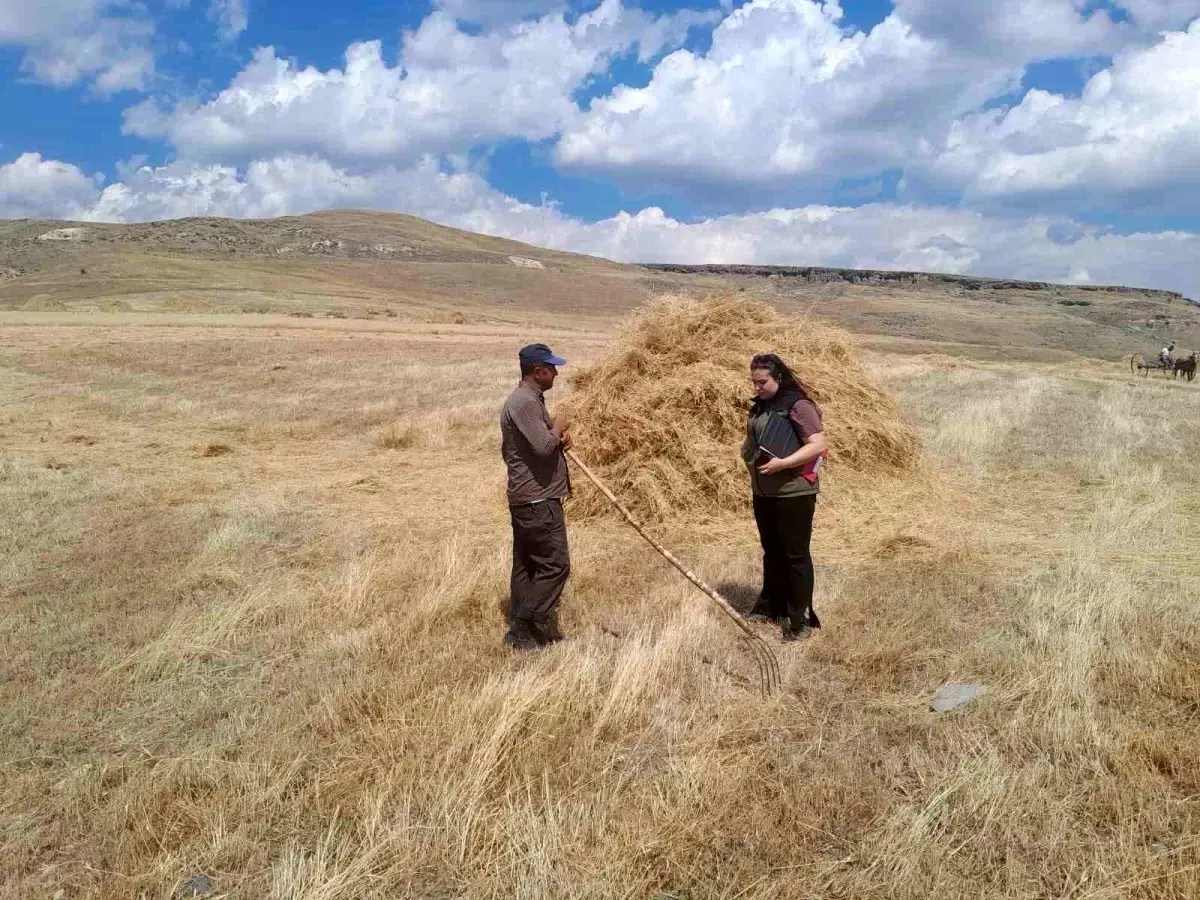 Sarıkamış'ta Hasat Sezonu Başladı
