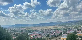 Tokat'ın Reşadiye ilçesinde ot yangını: 2 dönüm alan zarar gördü