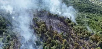 Zonguldak'ta Orman Yangını Kontrol Altına Alındı