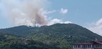 Zonguldak'ta orman yangını kontrol altına alındı