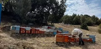 Yozgat'ın Çekerek İlçe Tarım ve Orman Müdürü Arıcıları Ziyaret Etti